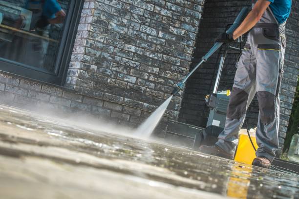 Best Driveway Pressure Washing  in Feather Sound, FL
